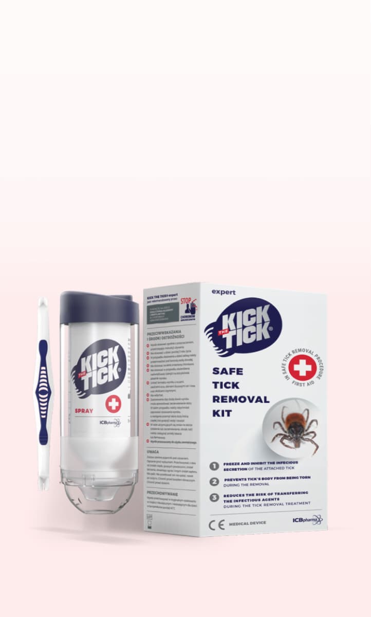 kick the tick slide phone